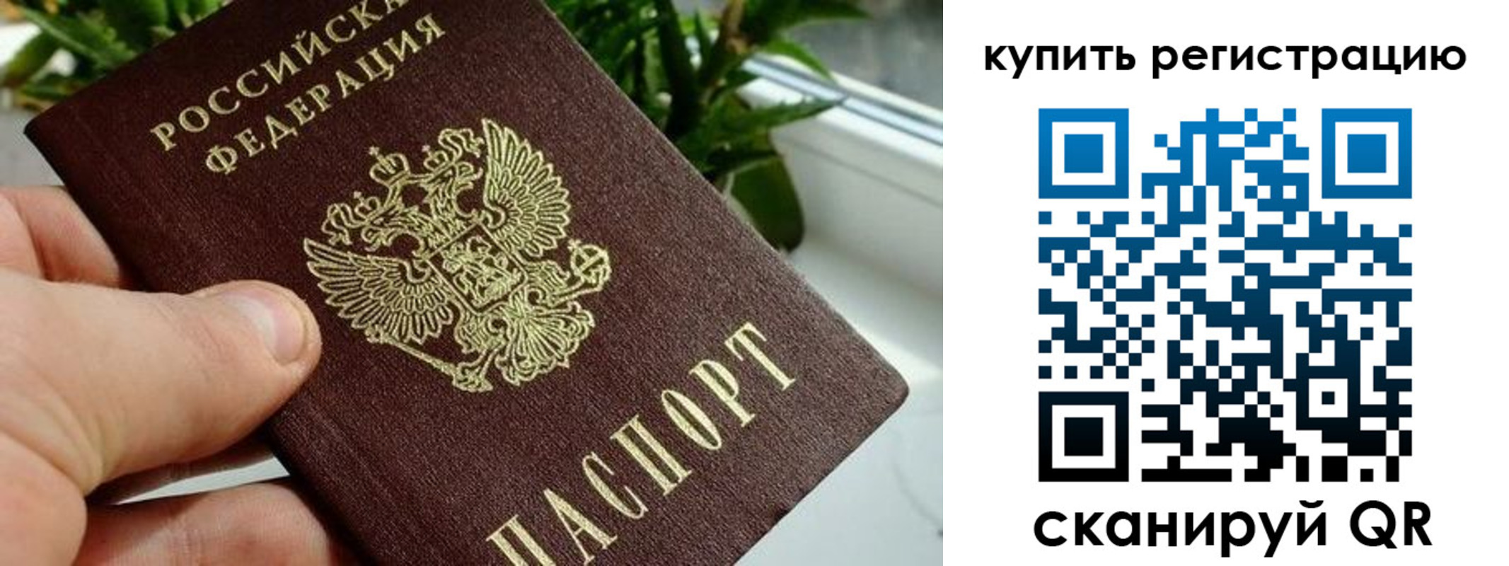 прописка гарантия в Рыбном